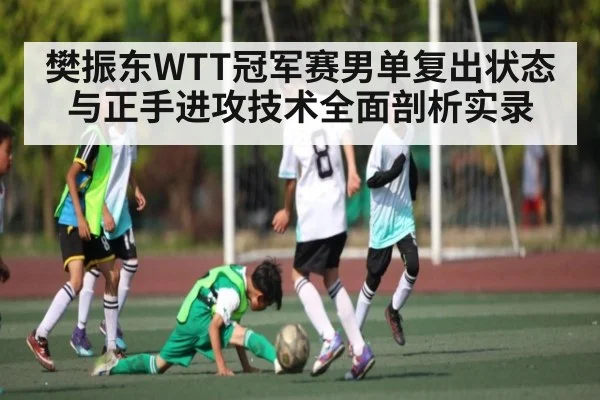 樊振东WTT冠军赛男单复出状态与正手进攻技术全面剖析实录